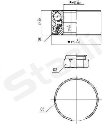 Starline LO 03596 - Комплект колісних підшипників autodetail.com.ua