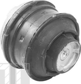 Tedgum TED81021 - Опора, двигун autodetail.com.ua