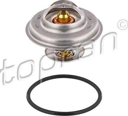 Topran 101 522 - Термостат, охолоджувальна рідина autodetail.com.ua