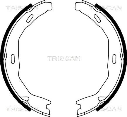 Triscan 8100 23029 - Комплект гальмівних колодок, стоянкове гальмо autodetail.com.ua